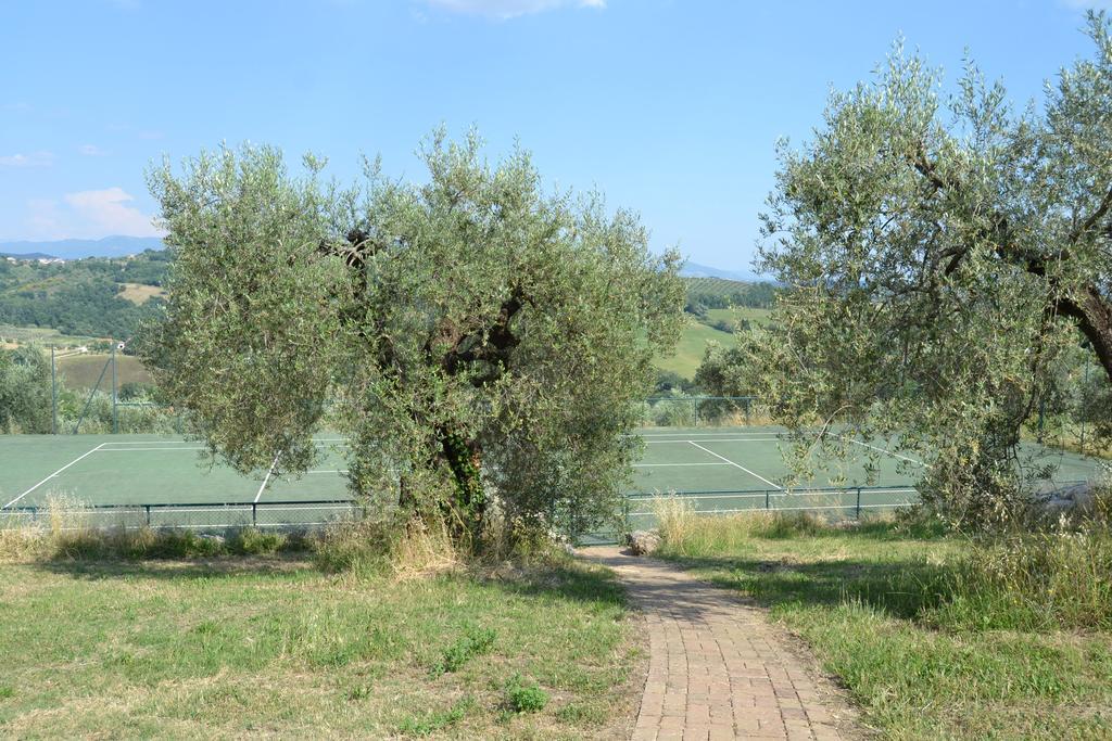 אמליה Tenuta Pizzogallo מראה חיצוני תמונה